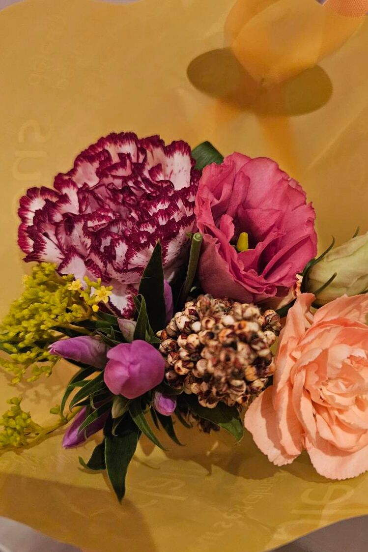 小雪【こゆき】データ